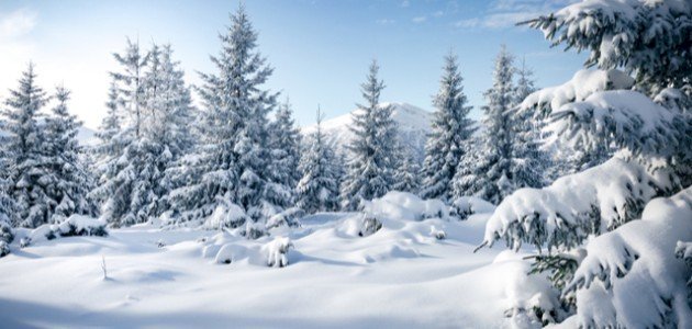 أجمل ما قيل عن الشتاء