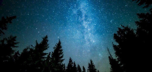 أجمل ما قيل عن الليل