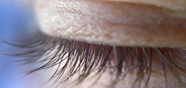 تطويل الرموش في أسبوع