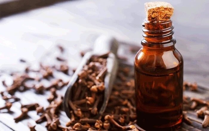 فوائد زيت القرنفل لشد الجسم