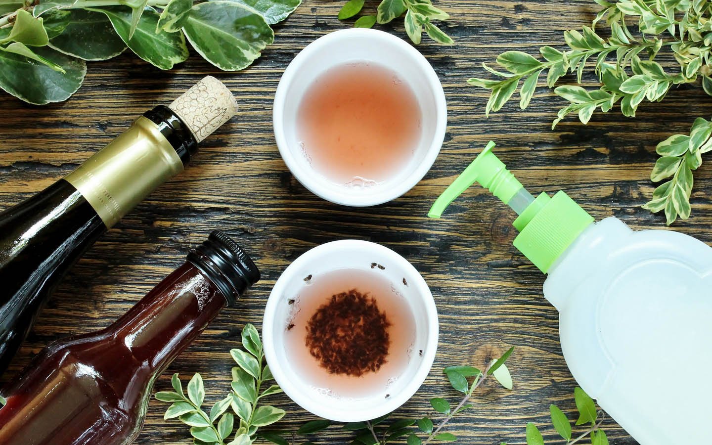 كيفية التخلص من الذباب بدون مبيدات