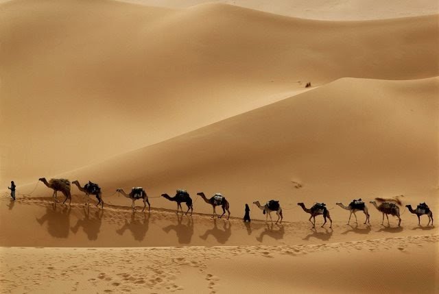 الفرق بين البدو والحضر